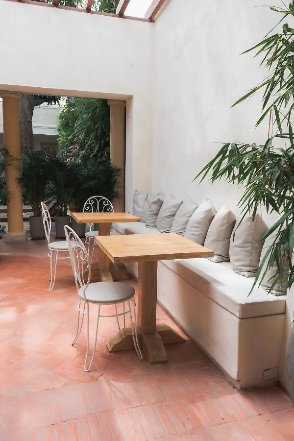 Casa Jaguar Hotel Boutique Cartagena Colombia