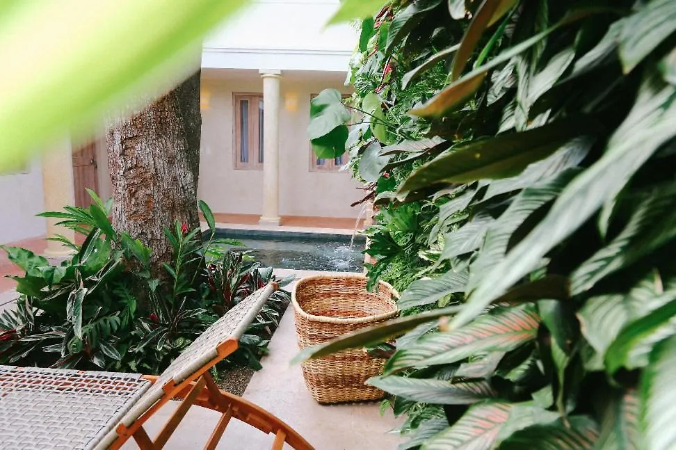 Casa Jaguar Hotel Boutique Cartagena