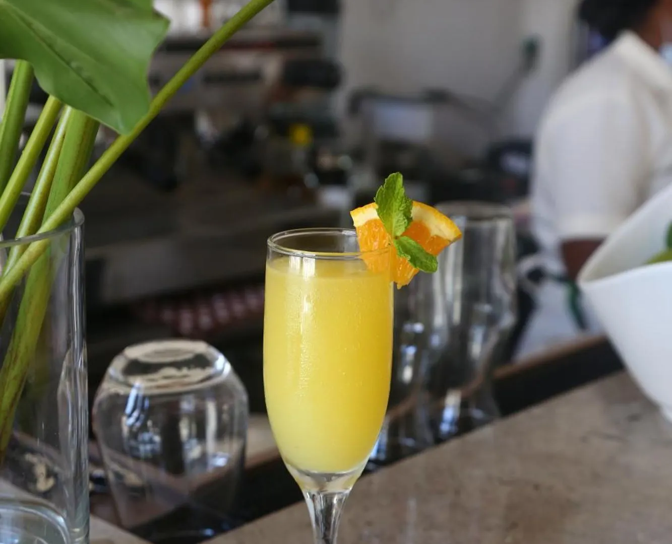 Casa Jaguar Hotel Boutique Cartagena Colombia