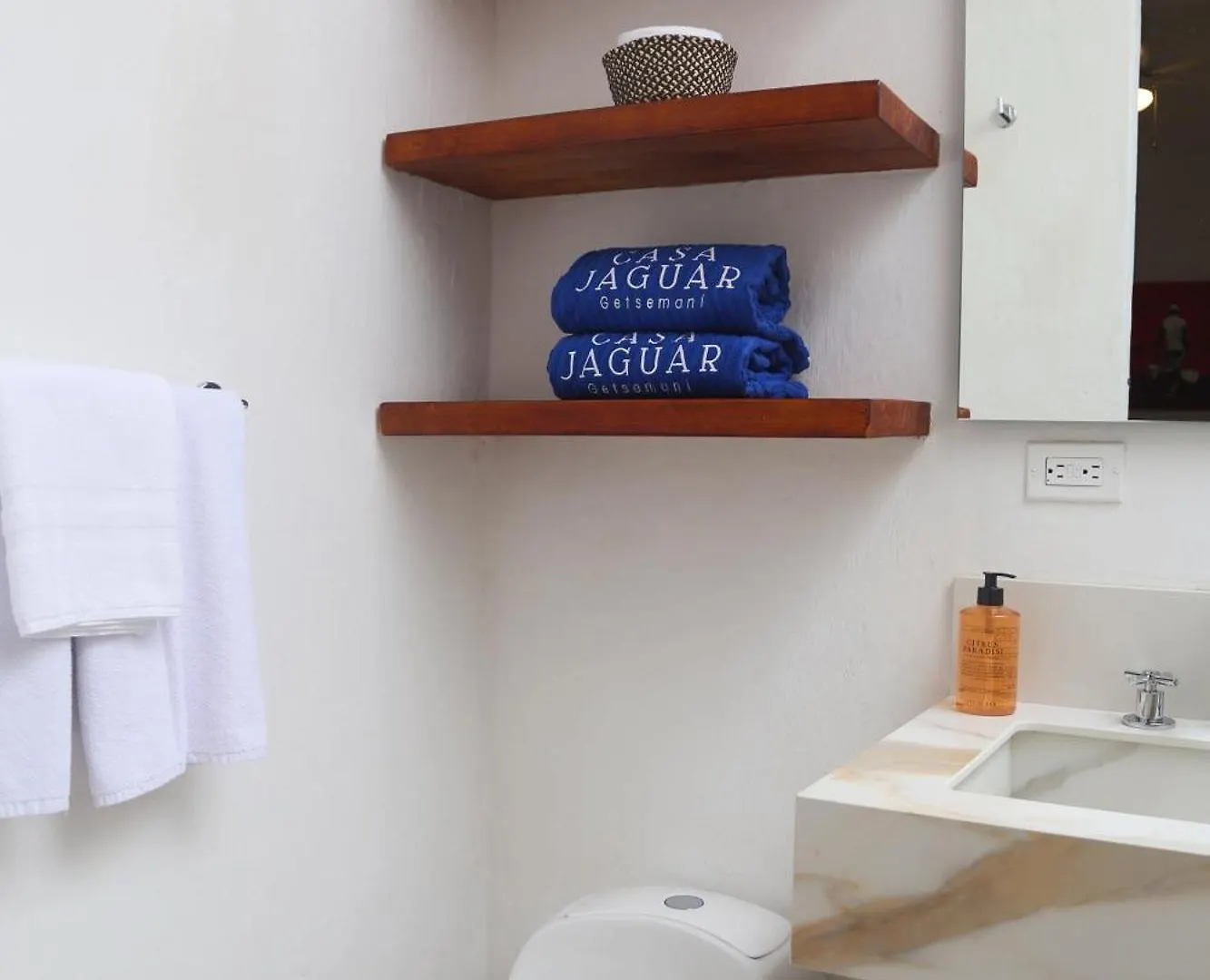 Casa Jaguar Hotel Boutique Cartagena Colombia
